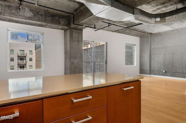 kitchen featuring light hardwood / wood-style flooring