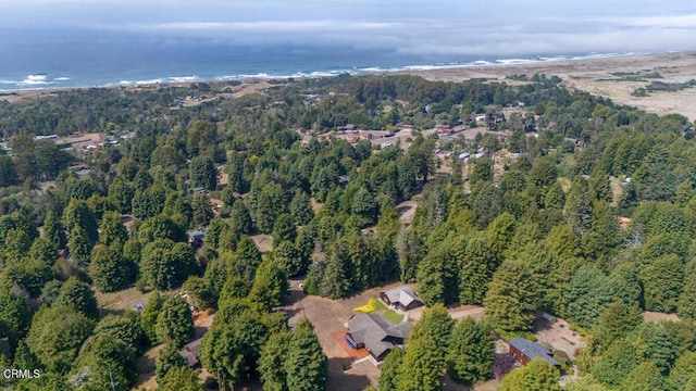 aerial view with a water view and a view of trees