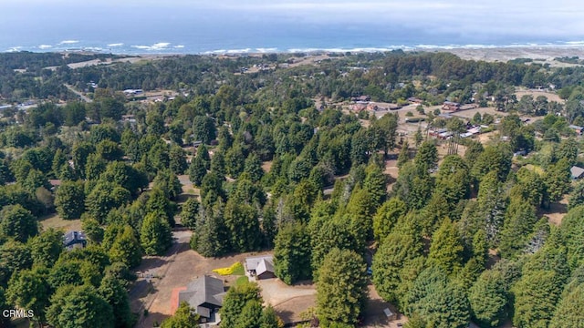 drone / aerial view with a forest view