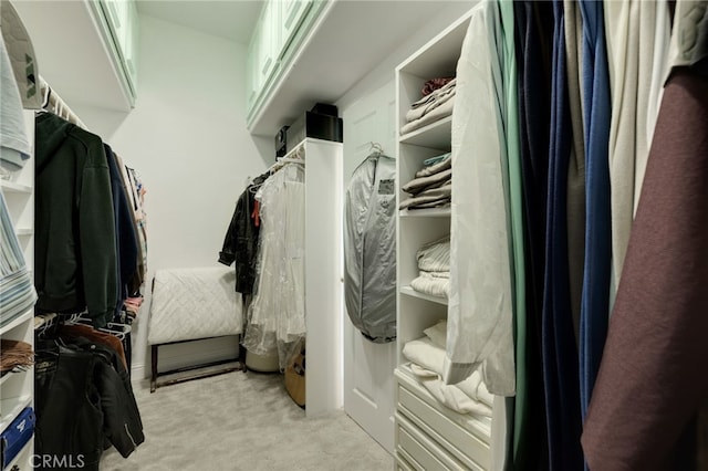 spacious closet with light colored carpet