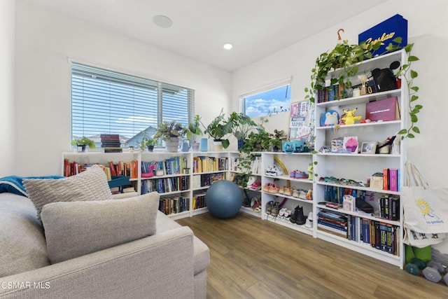 sitting room featuring hardwood / wood-style floors