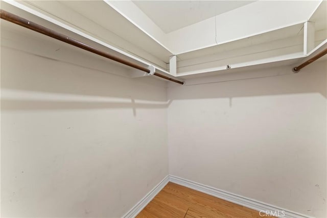 walk in closet featuring wood-type flooring