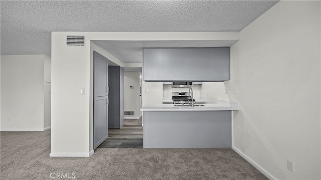 kitchen featuring sink, carpet, kitchen peninsula, and stainless steel appliances