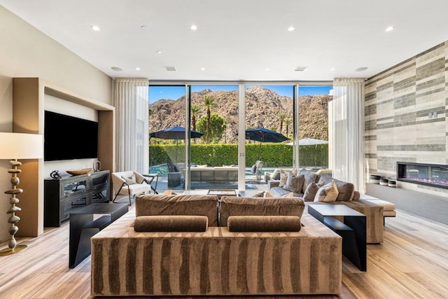 living room featuring light hardwood / wood-style flooring and a mountain view