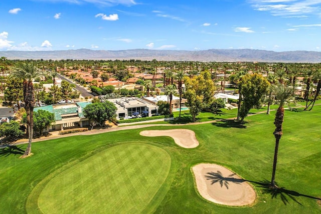 view of home's community featuring a lawn and a mountain view