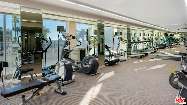 exercise room with carpet floors