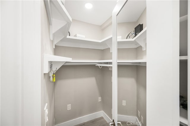 view of walk in closet