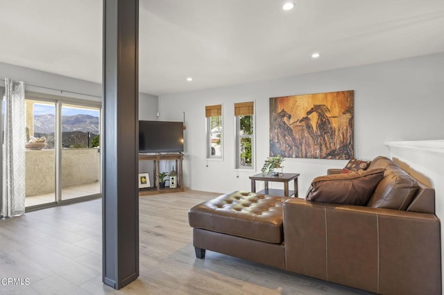 living room featuring light hardwood / wood-style flooring and a wealth of natural light