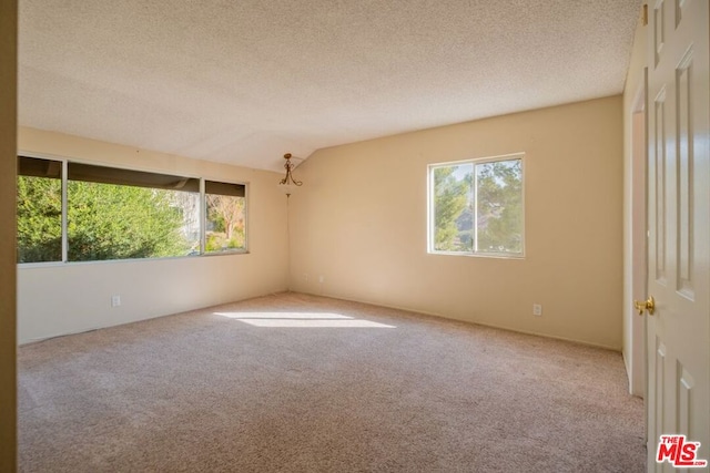 unfurnished room featuring light colored carpet and a textured ceiling