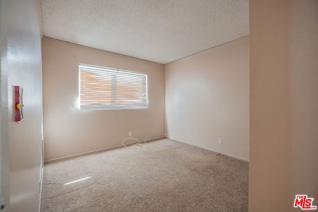 carpeted spare room with crown molding and a textured ceiling