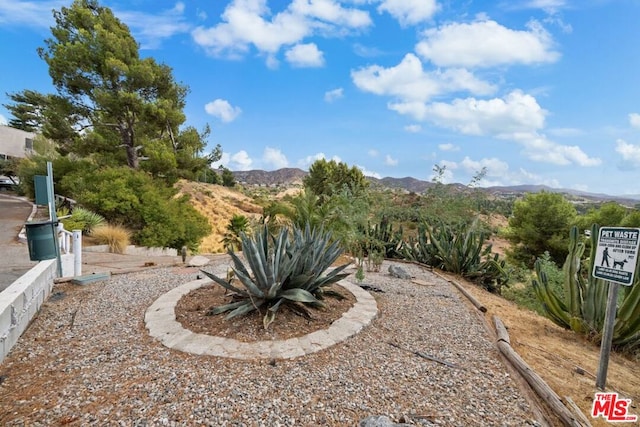 view of yard with a mountain view