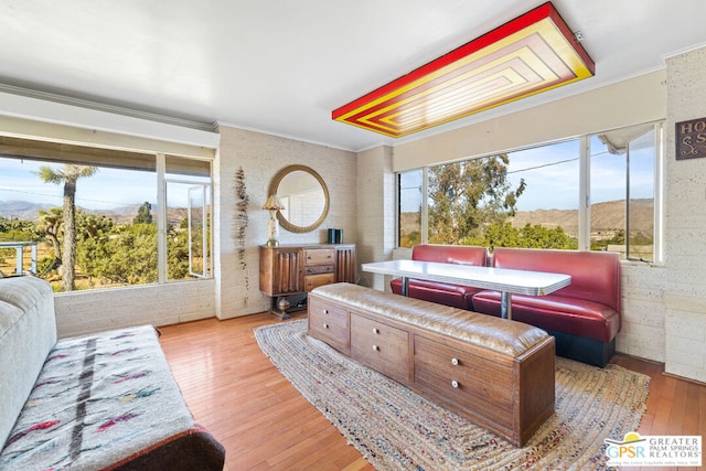 bedroom with light hardwood / wood-style floors, crown molding, and a mountain view