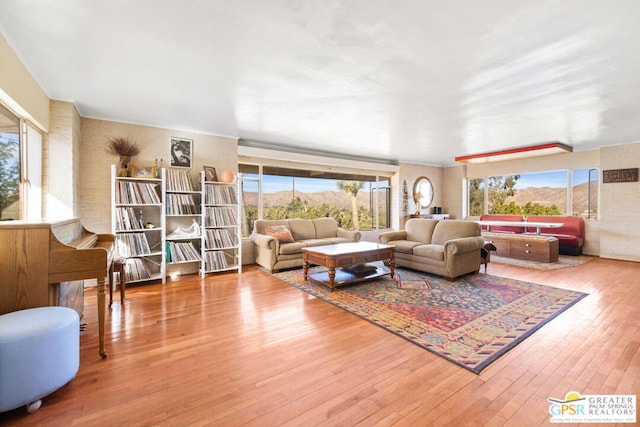 living room featuring hardwood / wood-style flooring