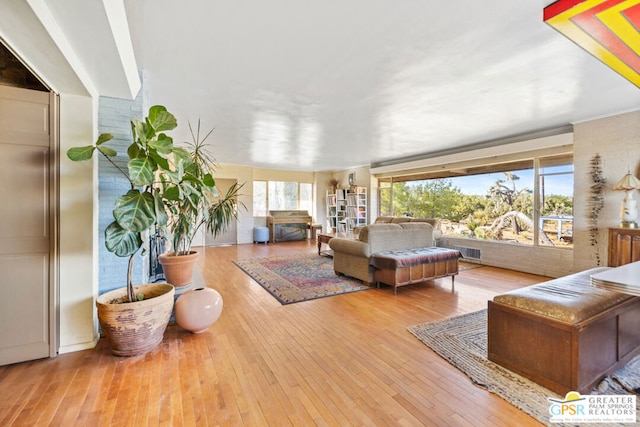 living room with light hardwood / wood-style floors and plenty of natural light