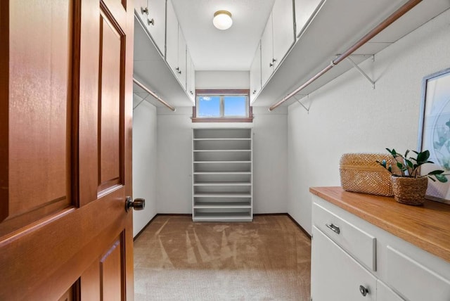 spacious closet with light carpet