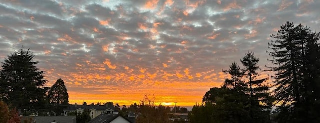 view of nature at dusk