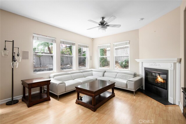 living room featuring ceiling fan and light hardwood / wood-style floors