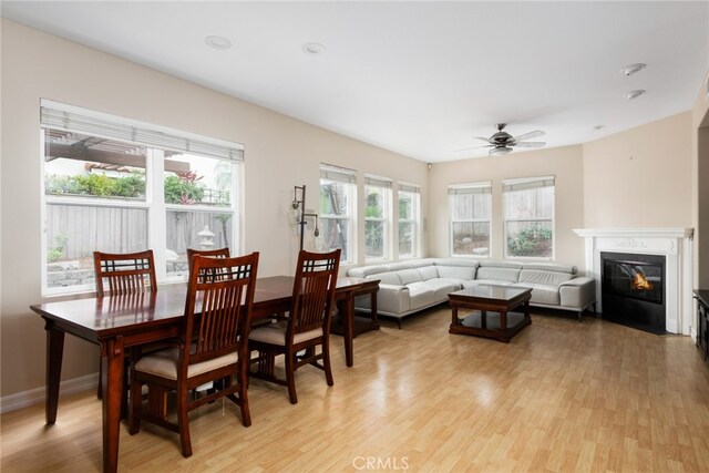 dining area featuring a wealth of natural light, ceiling fan, and light hardwood / wood-style floors