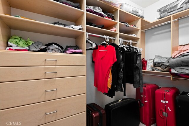 view of spacious closet