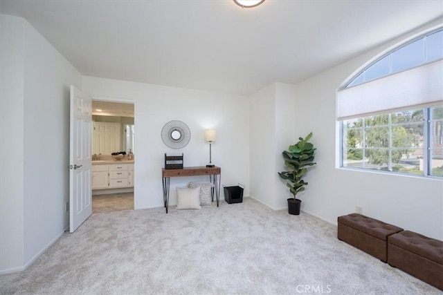 living area with light carpet