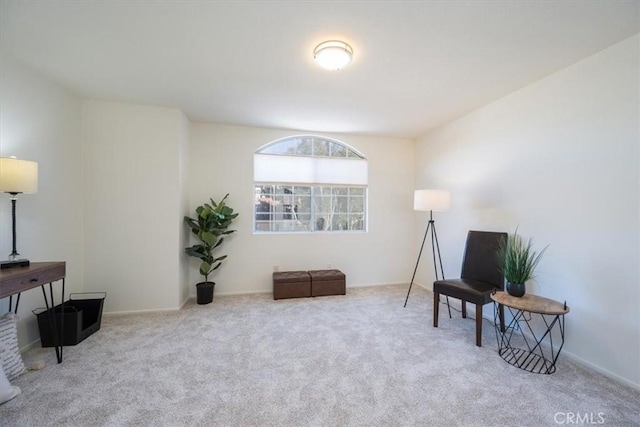 living area featuring light colored carpet