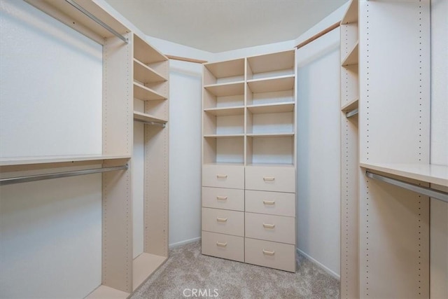 walk in closet featuring light colored carpet