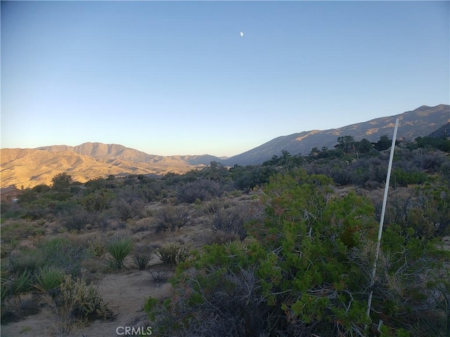 1 Sun Ter, Mountain Center, CA 92561 - photo 31