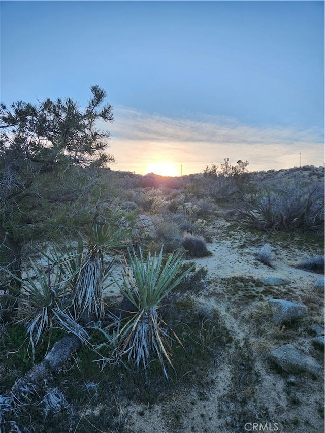 1 Sun Ter, Mountain Center, CA 92561 - photo 39