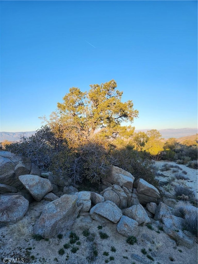 1 Sun Ter, Mountain Center, CA 92561 - photo 42
