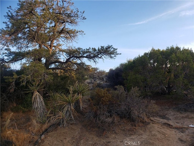 1 Sun Ter, Mountain Center, CA 92561 - photo 17