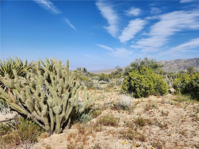 1 Sun Ter, Mountain Center, CA 92561 - photo 5