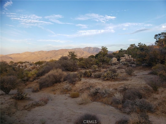 1 Sun Ter, Mountain Center, CA 92561 - photo 8