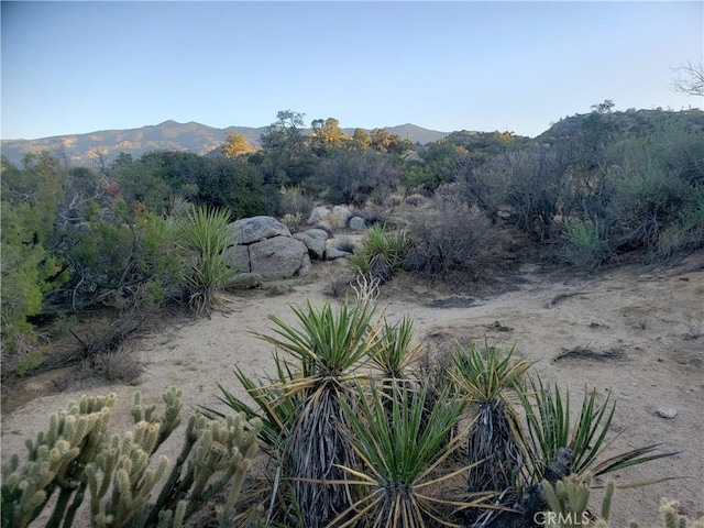 1 Sun Ter, Mountain Center, CA 92561 - photo 11