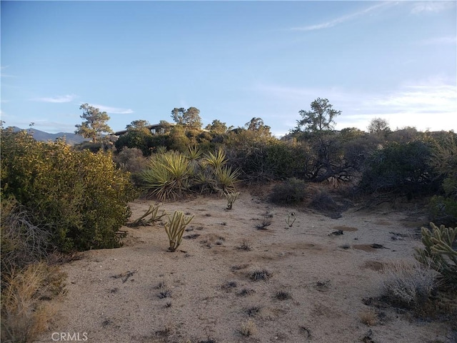 1 Sun Ter, Mountain Center, CA 92561 - photo 13