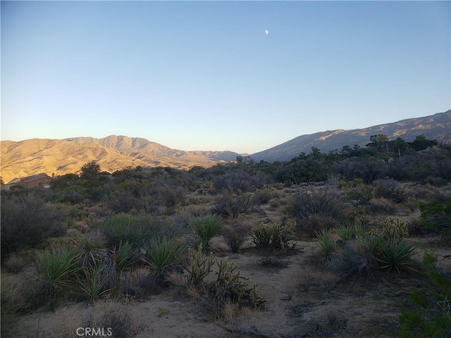 1 Sun Ter, Mountain Center, CA 92561 - photo 35