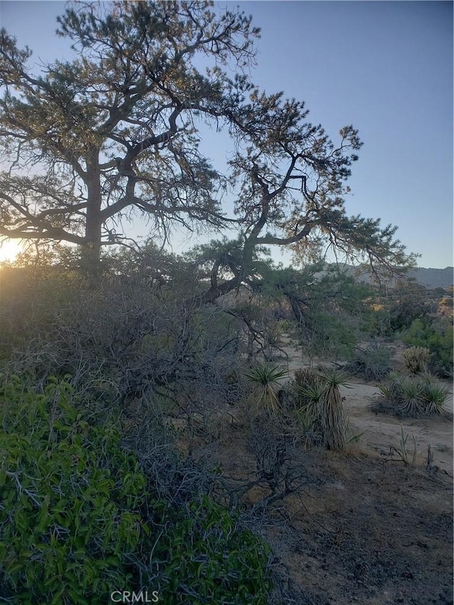 1 Sun Ter, Mountain Center, CA 92561 - photo 34