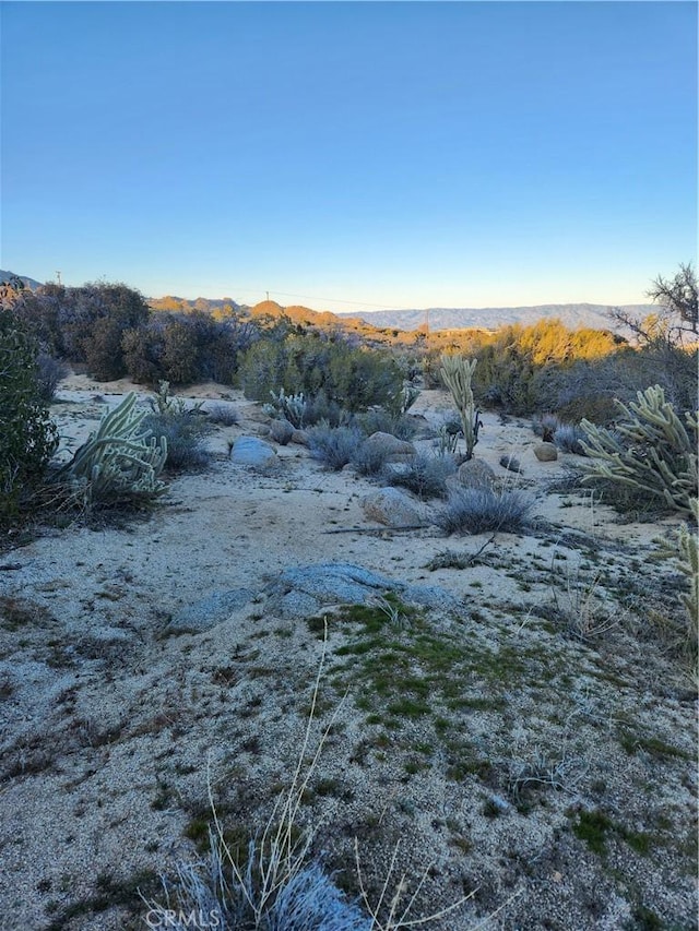 1 Sun Ter, Mountain Center, CA 92561 - photo 44