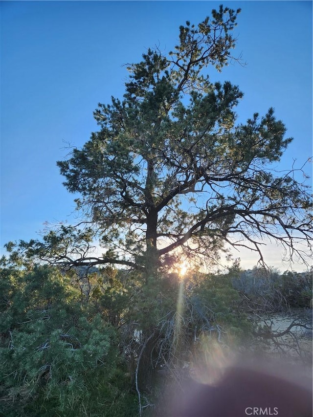 1 Sun Ter, Mountain Center, CA 92561 - photo 48