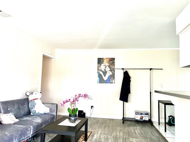 living room featuring wood-type flooring