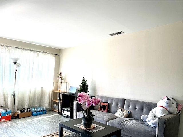 living room with wood-type flooring