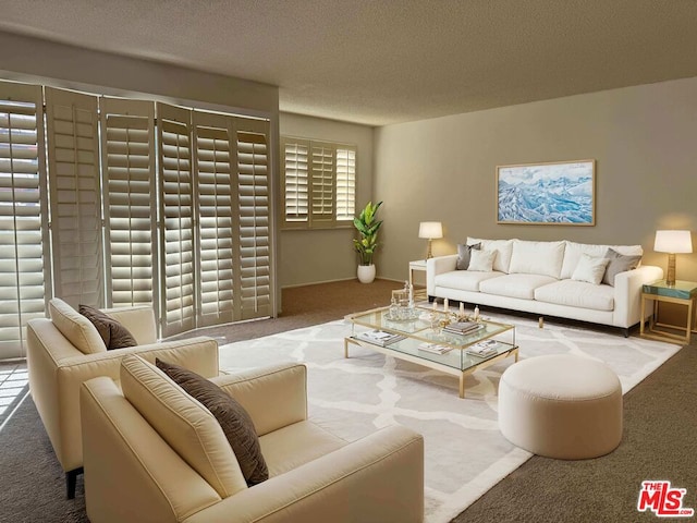 carpeted living room with a textured ceiling