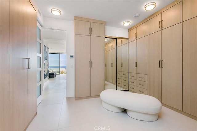 11 Seabreeze Ter, Dana Point, CA 92629 - spacious closet with light tile patterned floors