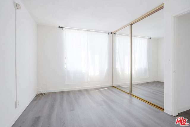 interior space featuring light wood-type flooring and a closet