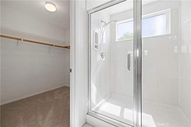 bathroom featuring a shower with shower door