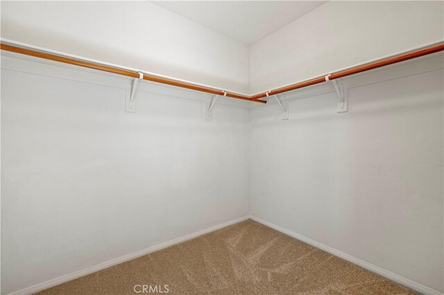 walk in closet with carpet