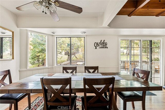 dining room with plenty of natural light, ceiling fan, and light hardwood / wood-style flooring