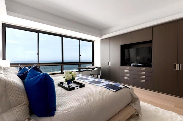 bedroom featuring light hardwood / wood-style flooring