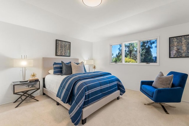 bedroom featuring carpet