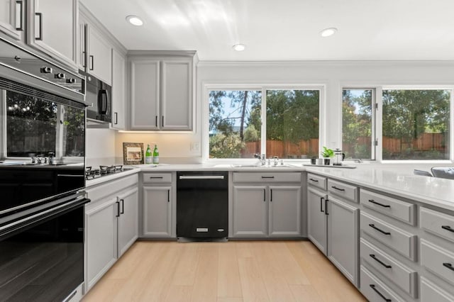 kitchen with gray cabinetry, crown molding, light hardwood / wood-style flooring, and black appliances