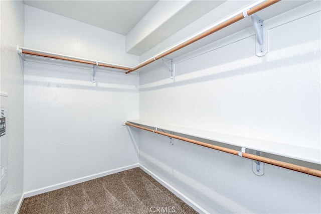 walk in closet featuring carpet floors